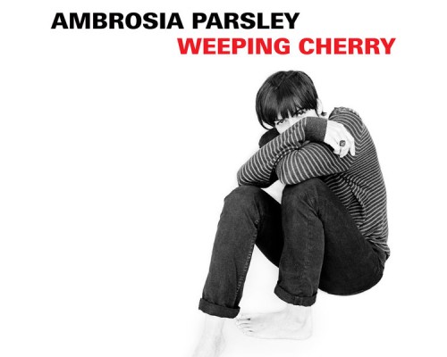 Ambrosia Parsley - Weeping Cherry