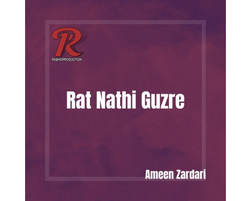 Ameen Zardari - Rat Nathi Guzre