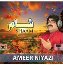 Ameer Niyazi - Shaam, Vol. 9