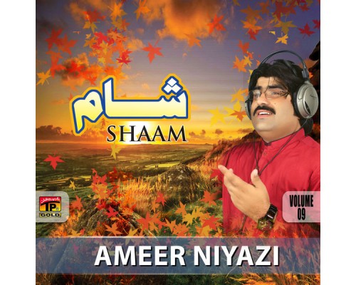 Ameer Niyazi - Shaam, Vol. 9