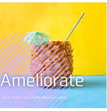 Ameliorate, Etsuko Matsui - まるでハワイにいるような日本人好みのカフェbgm