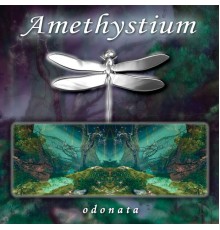 Amethystium - Odonata