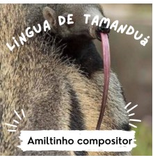 Amiltinho Compositor - Língua de Tamanduá