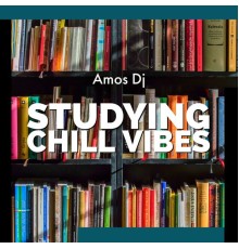 Amos DJ - Studying chill vibes