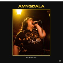 Amygdala - Amygdala on Audiotree Live (Audiotree Live Version)
