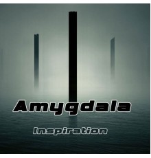 Amygdala - Inspiration