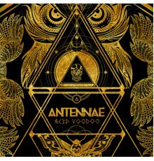 An-ten-nae - Acid Voodoo