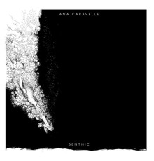 Ana Caravelle - Benthic