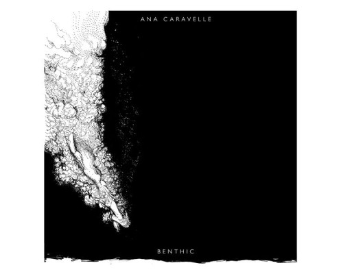 Ana Caravelle - Benthic