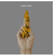 Anberlin - Lowborn