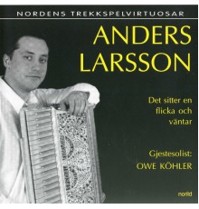 Anders Larsson - Det sitter en flicka och väntar