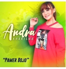 Andra Kharisma - Pamer Bojo