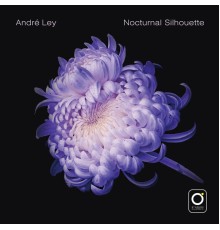 Andre Ley - Nocturnal Silhouette