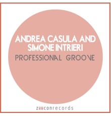 Andrea Casula - Professional Groove