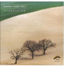 Andrea Pozza Trio - Introducing