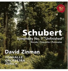 Andreas Janke, violon - David Zinman - Schubert : Symphonie n° 8 "Inachevé" & Œuvres concertantes