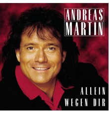 Andreas Martin - Allein wegen Dir