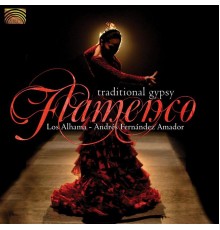 Andres Fernandez Amador - Traditional Gypsy Flamenco (Andres Fernandez Amador)