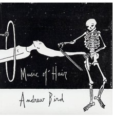 Andrew Bird - Music of Hair