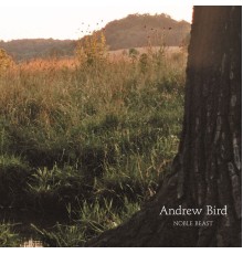 Andrew Bird - Noble Beast