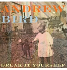 Andrew Bird - Break It Yourself