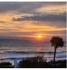 Andrew Buck - Satellite Beach