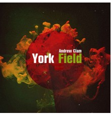 Andrew Clam - York Field