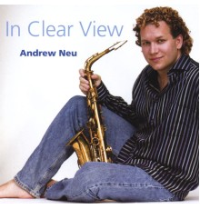 Andrew Neu - In Clear View