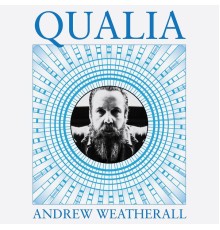 Andrew Weatherall - Qualia