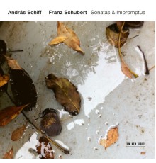András Schiff - Schubert : Sonatas & Impromptus