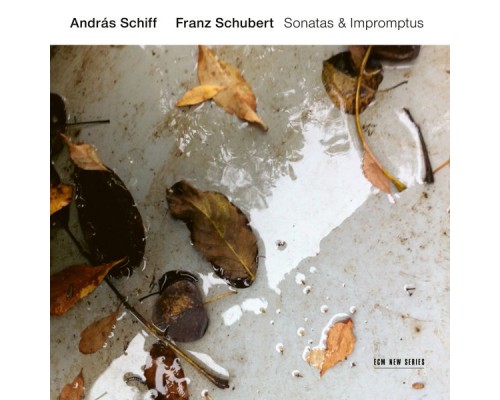 András Schiff - Schubert : Sonatas & Impromptus