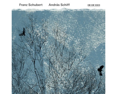 András Schiff - Franz Schubert