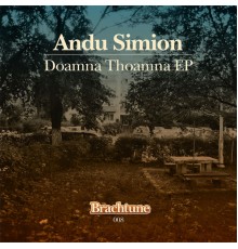 Andu Simion - Doamna Thoamna EP