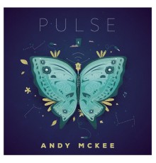 Andy McKee - Pulse