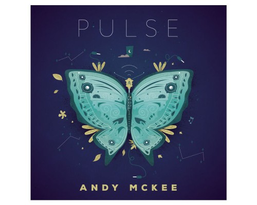 Andy McKee - Pulse