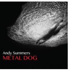 Andy Summers - Metal Dog