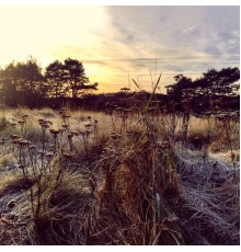 Ane Brun - Leave Me Breathless