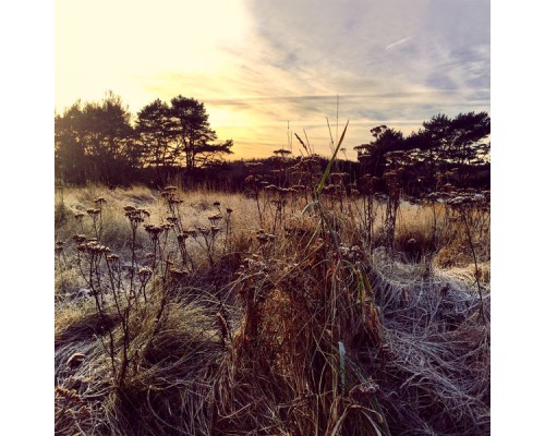 Ane Brun - Leave Me Breathless