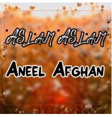 Aneel Afghan - Aslam Aslam