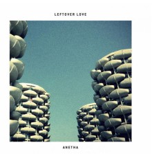 Anetha - Leftover Love