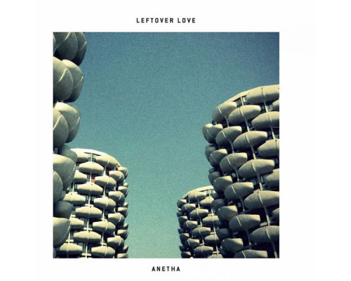 Anetha - Leftover Love