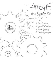 Aney F. - New System