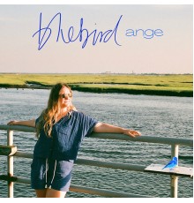 Ange - Bluebird