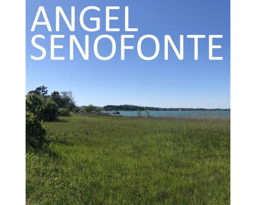 Angel Senofonte - Angel Senofonte