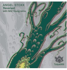 Angel Stoxx - Reversed