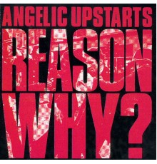 Angelic Upstarts - Reason Why?