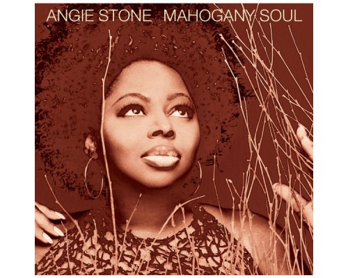 Angie Stone - Mahogany Soul