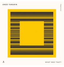 Ango Tamarin - What Was That?