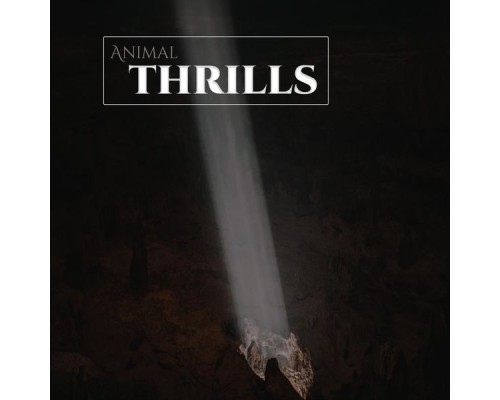 Animal - Thrills