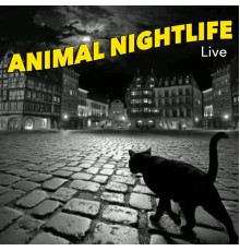 Animal Nightlife - Animal Nightlife Live